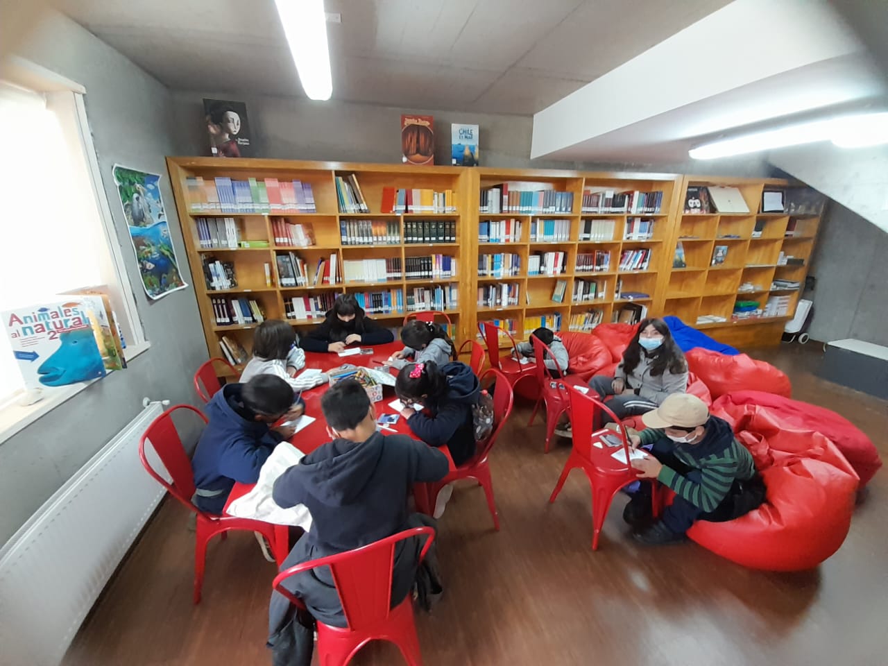 ECIM UC | Biblioteca Escolar Futuro