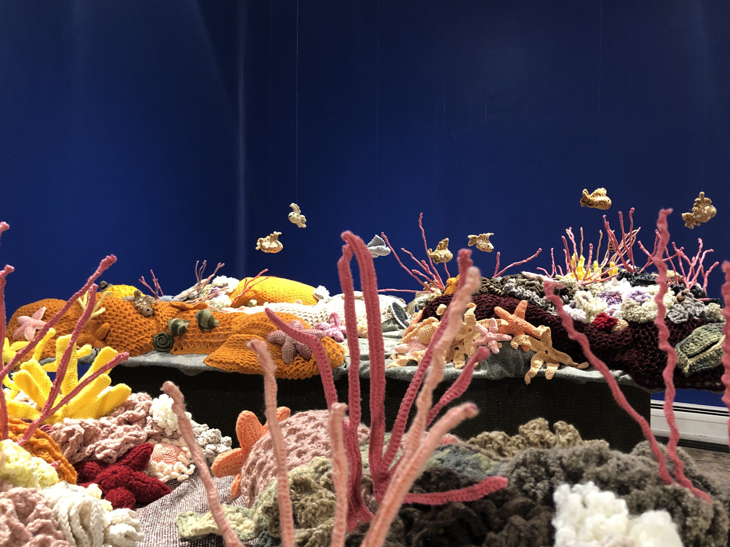Expo de tejido y fotografía: «Tramares tejiendo arrecifes» en ECIM